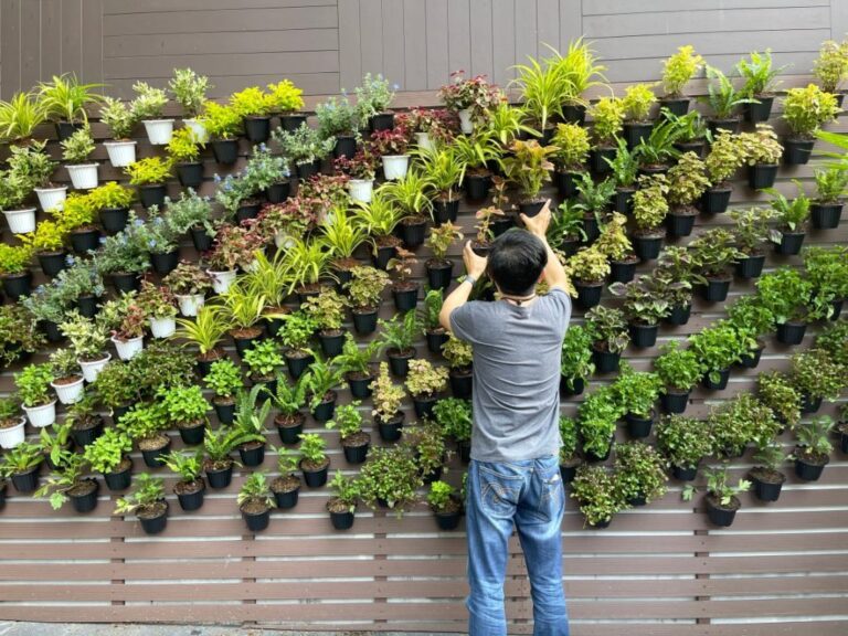 vertical garden