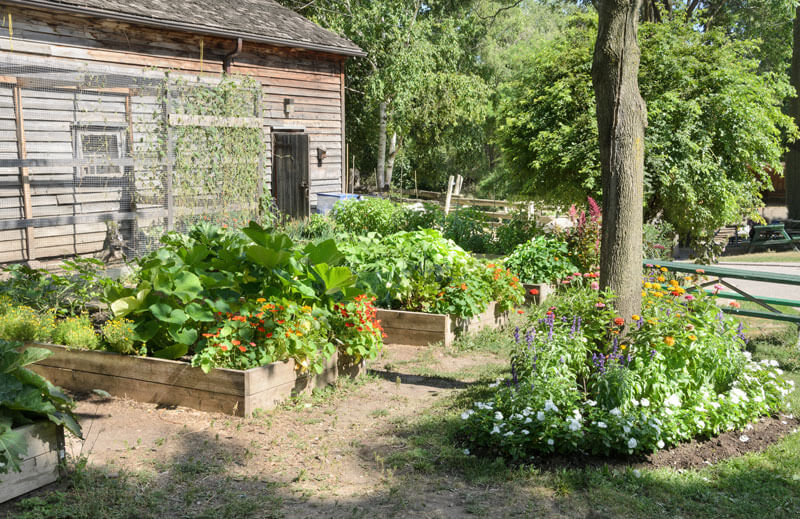Gardening