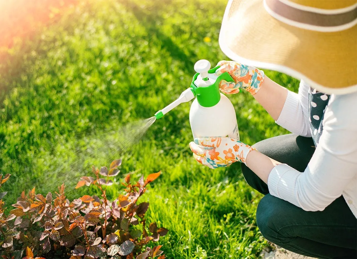 pesticide