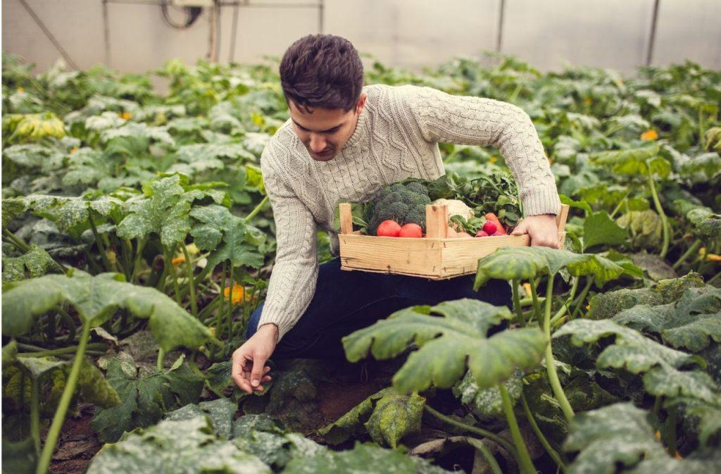 Garden Hack
