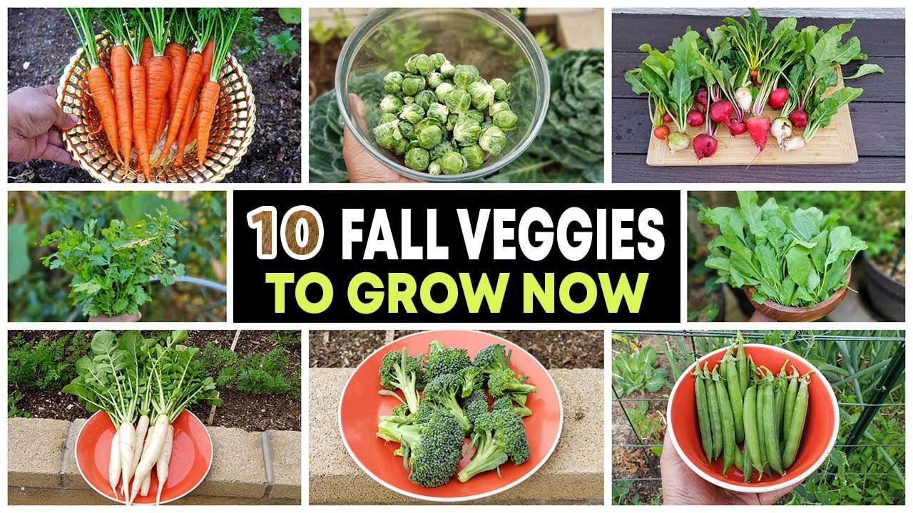 Vegetables