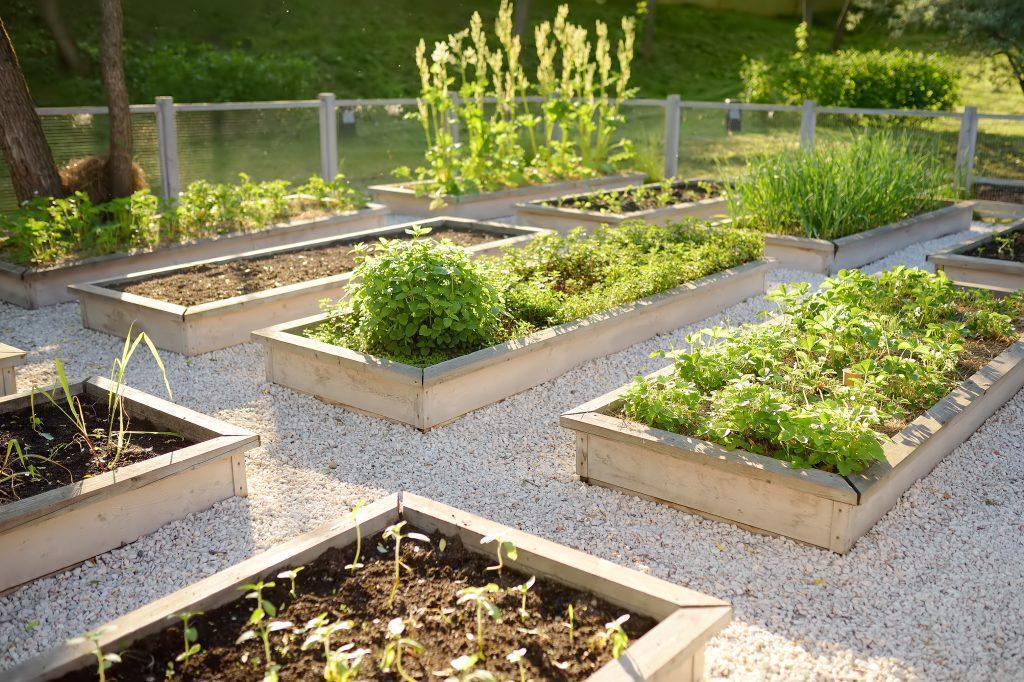 Raised Bed Garden