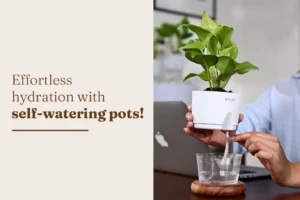 Self-Watering Pots in India: Do They Really Work for Balcony and Terrace Gardening?