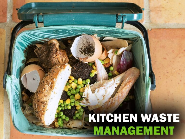 Food Waste