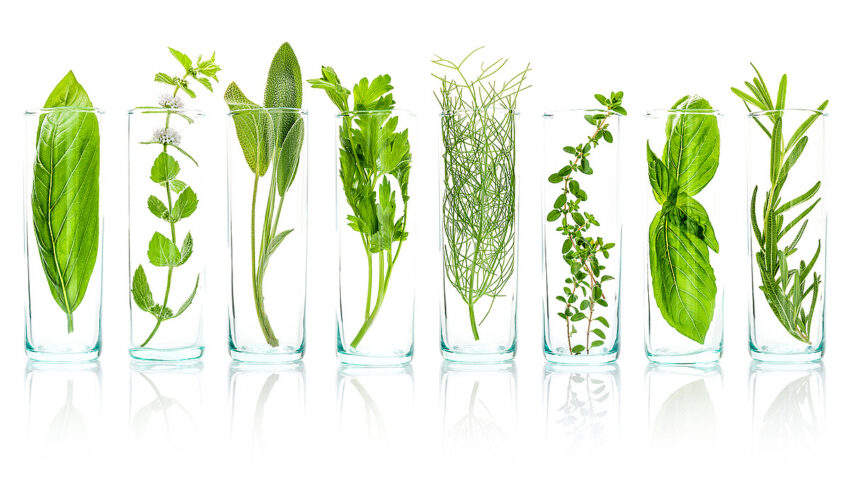 Plant-Based Skincare