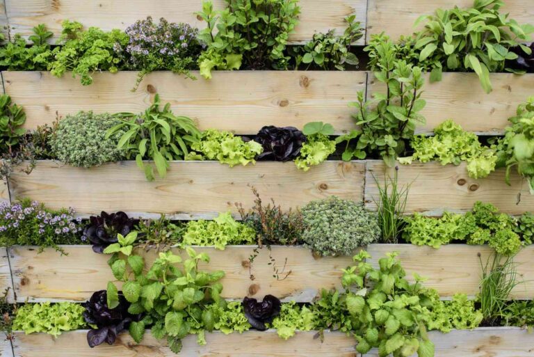 Vertical Garden