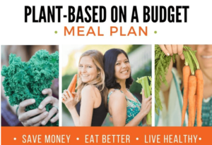 Plant-Based Living on a Budget: Smart, Healthy, and Affordable Eating in India 🌱💰